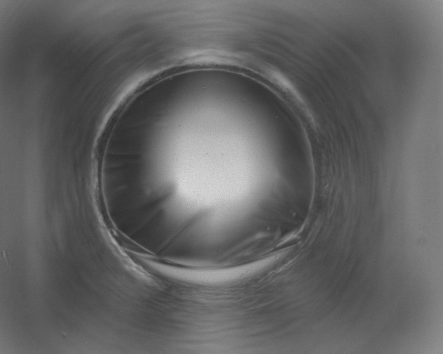 X0000054361376200508121503