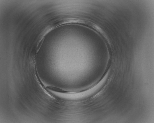 X0000054361377200508121503