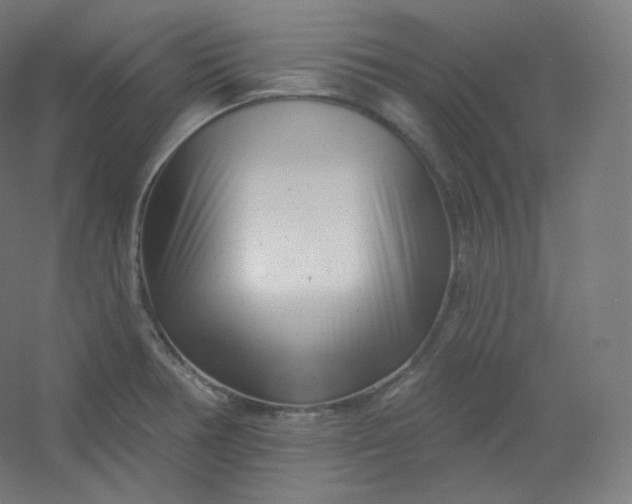 X0000054361378200508121503