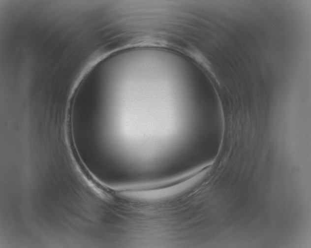 X0000054361379200508121503