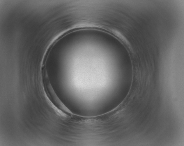 X0000054361380200508121503