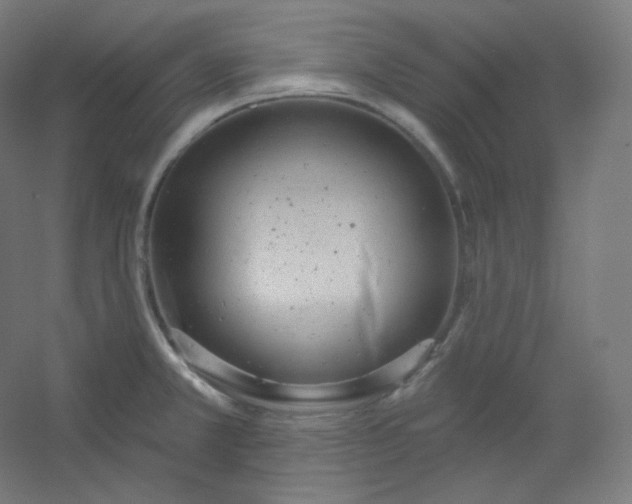 X0000054361381200508121503