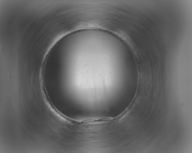 X0000054361382200508121503