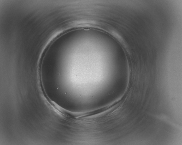 X0000054361384200508121502