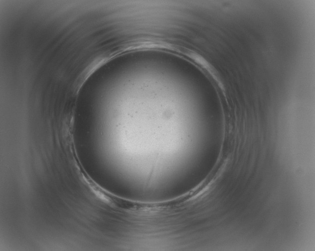 X0000054361385200508121502