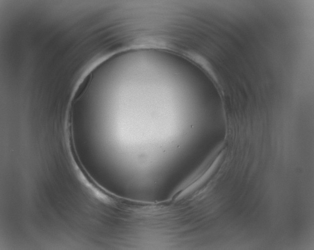 X0000054361387200508121502