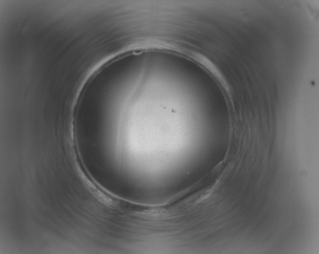 X0000054361388200508121502