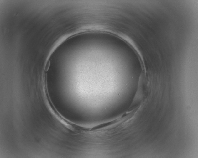 X0000054361389200508121502