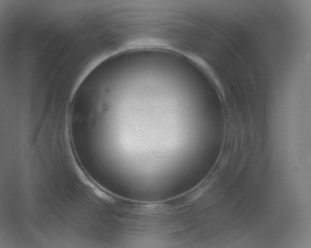 X0000054361390200508121502