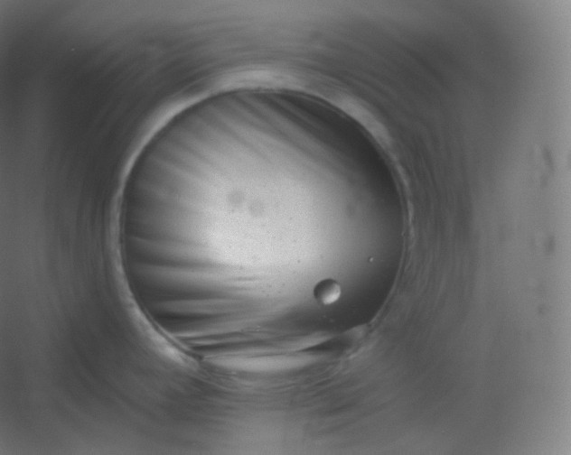 X0000054361392200508121502