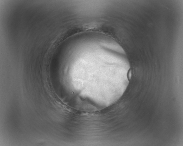 X0000054361393200508121502