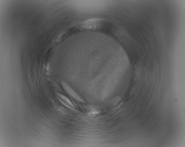 X0000054361394200508121502