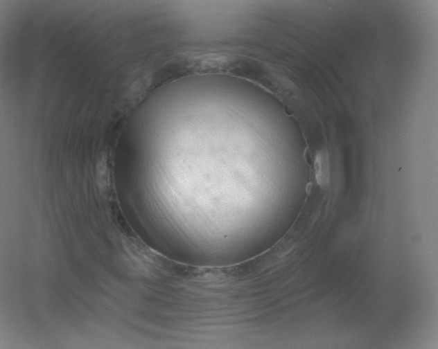 X0000054361395200508121502