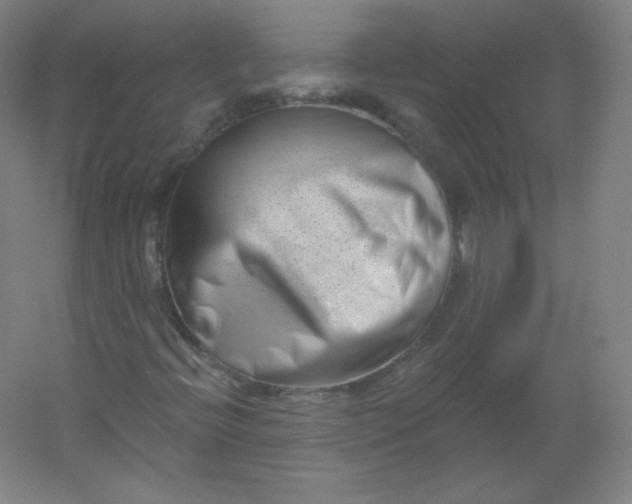 X0000054361396200508121502
