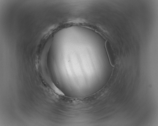 X0000054361398200508121502
