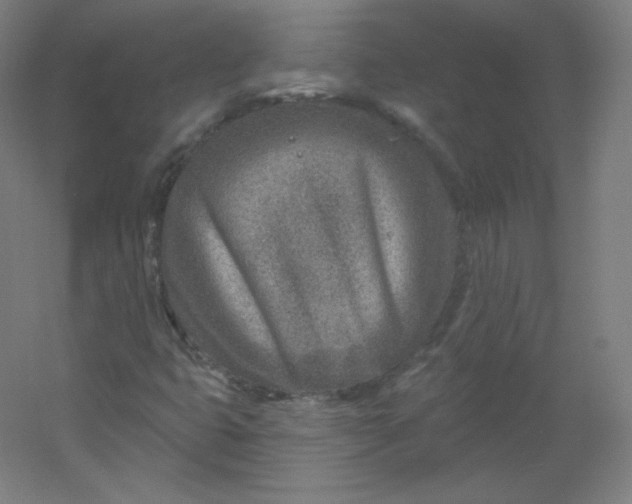 X0000054361399200508121502
