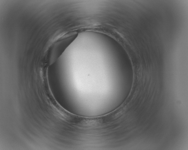 X0000054361402200508121502