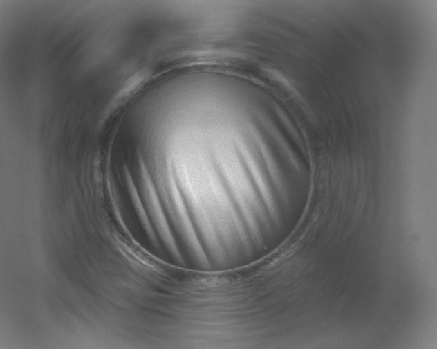 X0000054361403200508121502