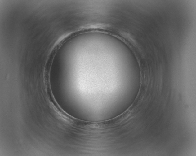 X0000054361404200508121502