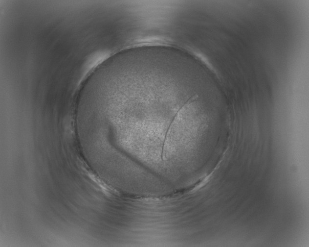 X0000054361405200508121502