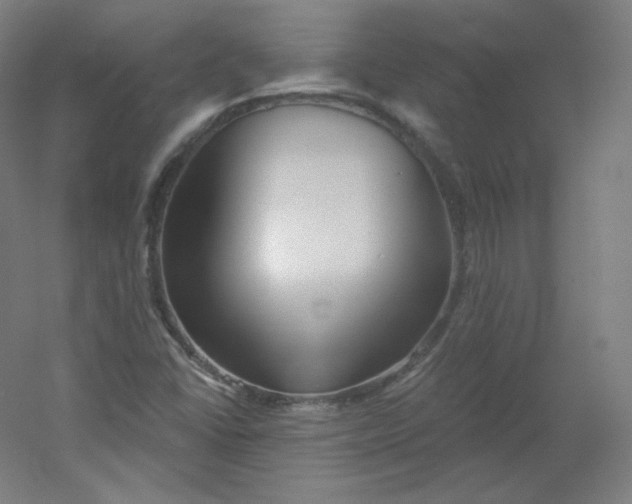 X0000054361406200508121502