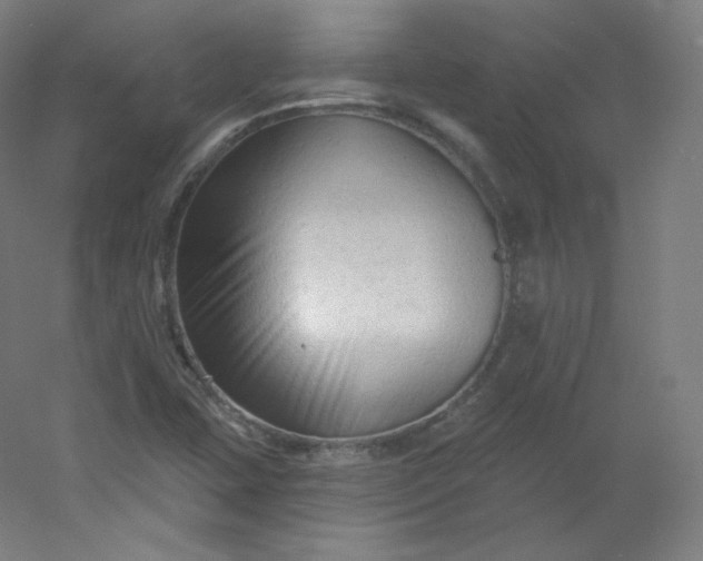 X0000054361407200508121502