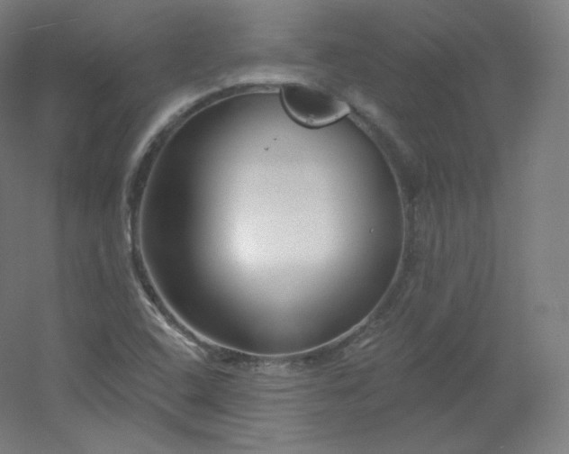 X0000054361408200508121502