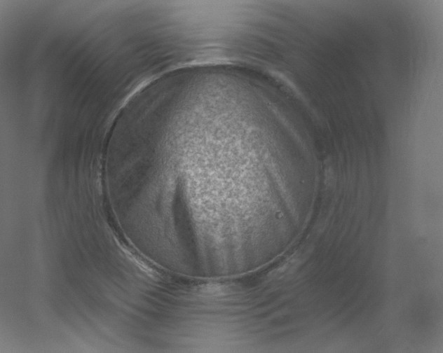 X0000054361409200508121502