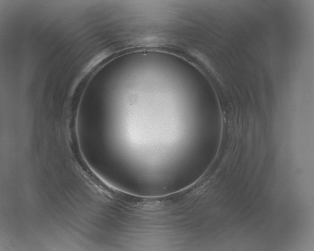 X0000054361410200508121502