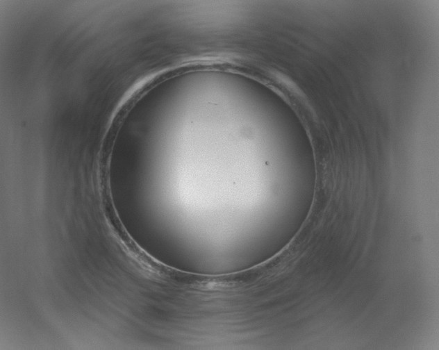 X0000054361412200508121502