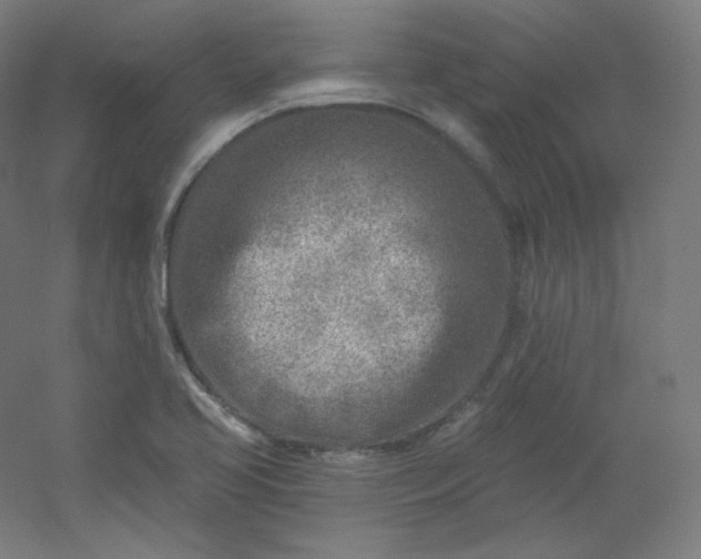 X0000054361413200508121502