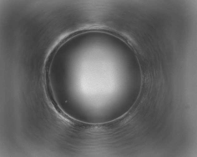 X0000054361414200508121502