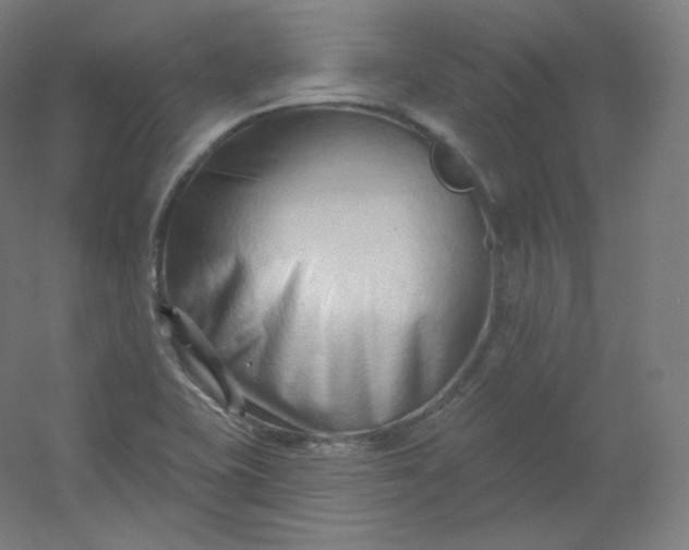 X0000054361415200508121502