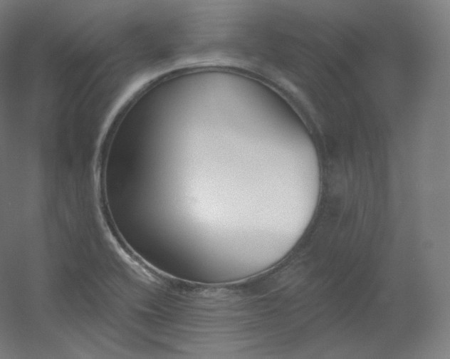 X0000054361416200508121502