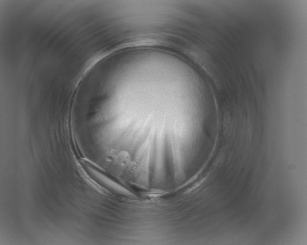 X0000054361417200508121502