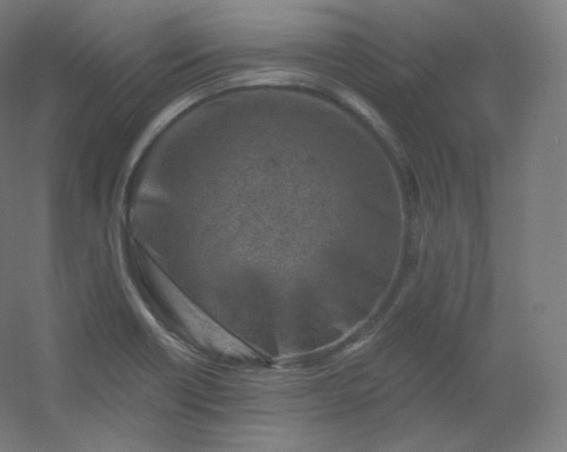X0000054361418200508121502