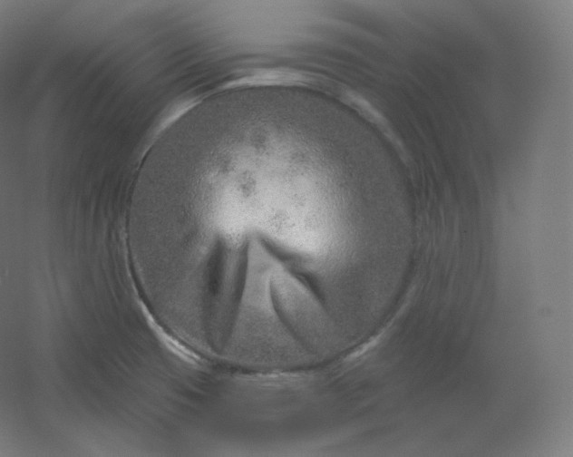 X0000054361425200508121502