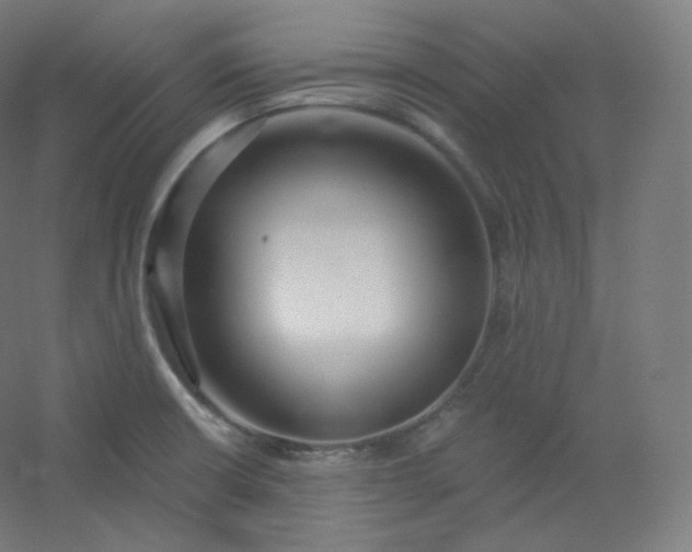 X0000054361426200508121502