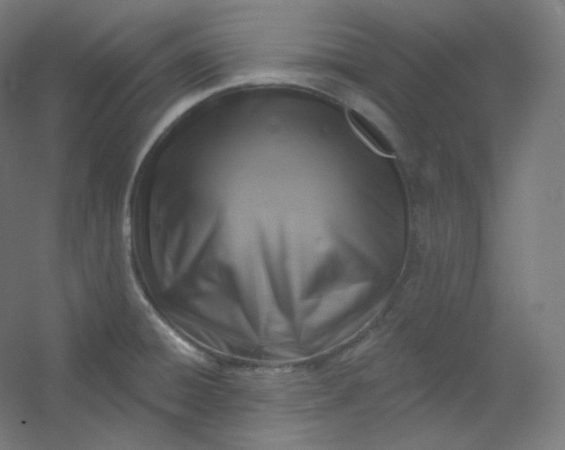 X0000054361428200508121502