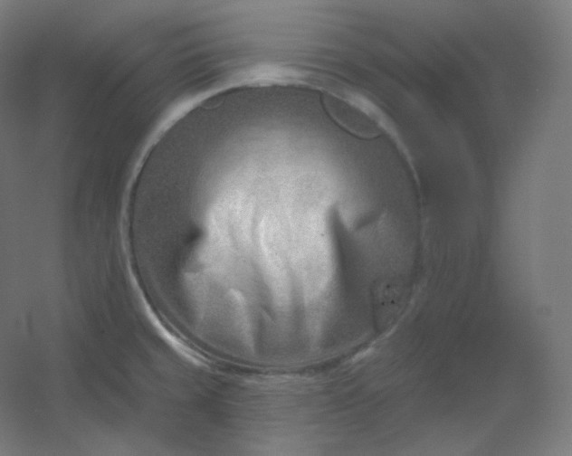 X0000054361429200508121502