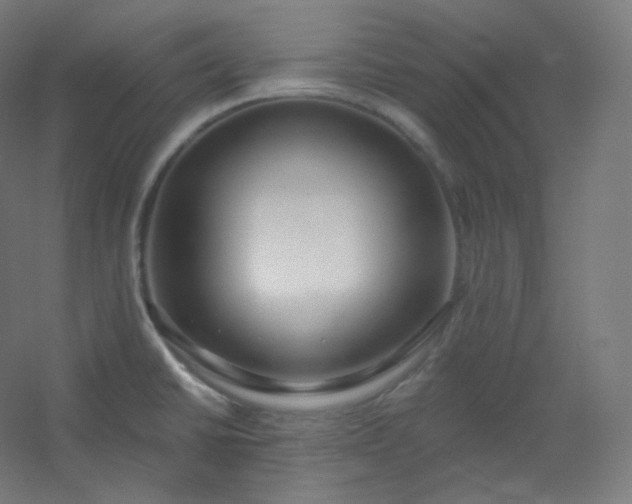 X0000054361430200508121502