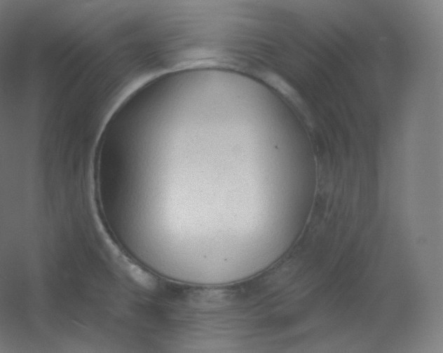X0000054361431200508121502