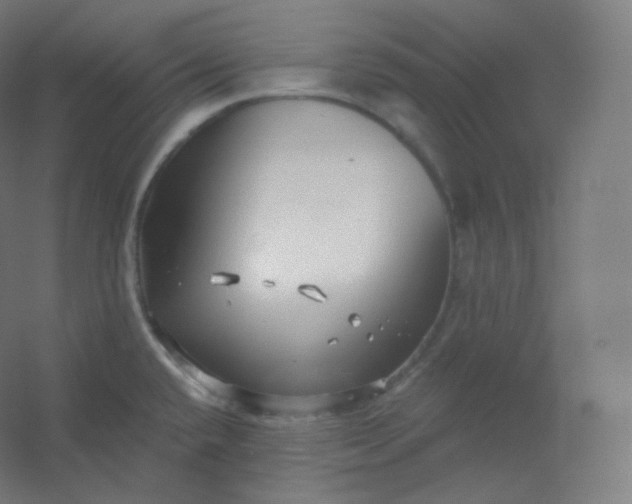 X0000054361432200508121502