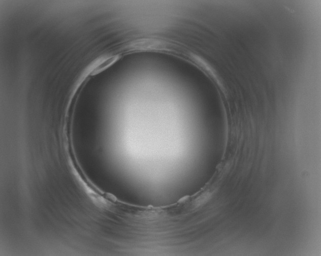 X0000054361434200508121502