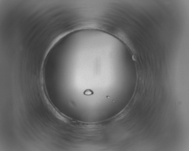 X0000054361436200508121502