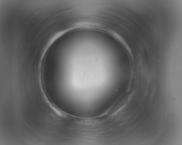X0000054361437200508121502