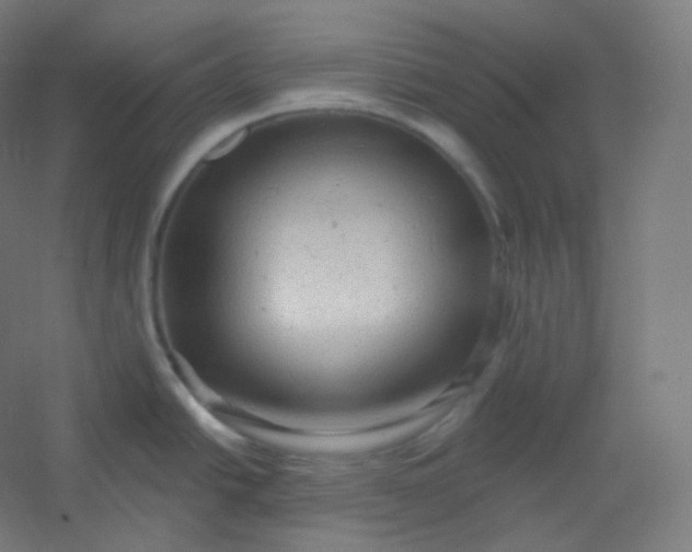 X0000054361438200508121502