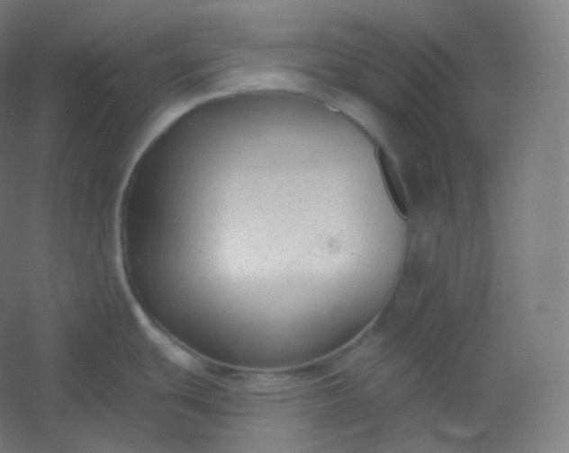 X0000054361439200508121502