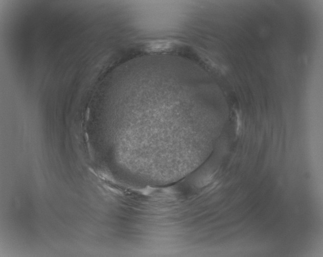 X0000054361441200508121502