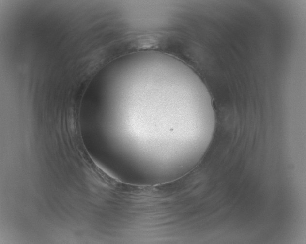 X0000054361442200508121501